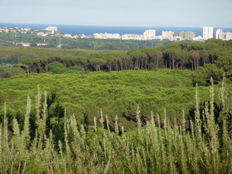 €1 270 000 · Вилла · 750 м² · С'Агаро — Noticasa — фото 8