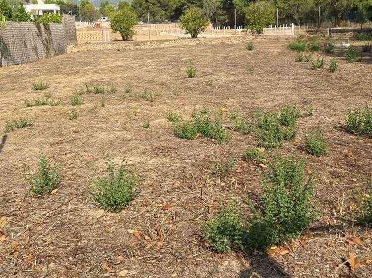 €350 000 · Участок · 1000 м² · Alfaz del Pi — Noticasa