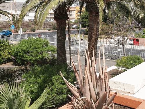 €178 500 · Квартира · Arona — Noticasa